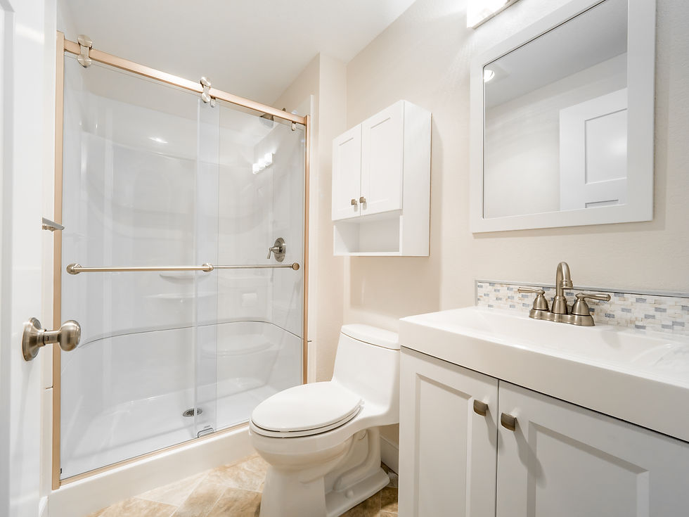 Kirkland Condo Remodel