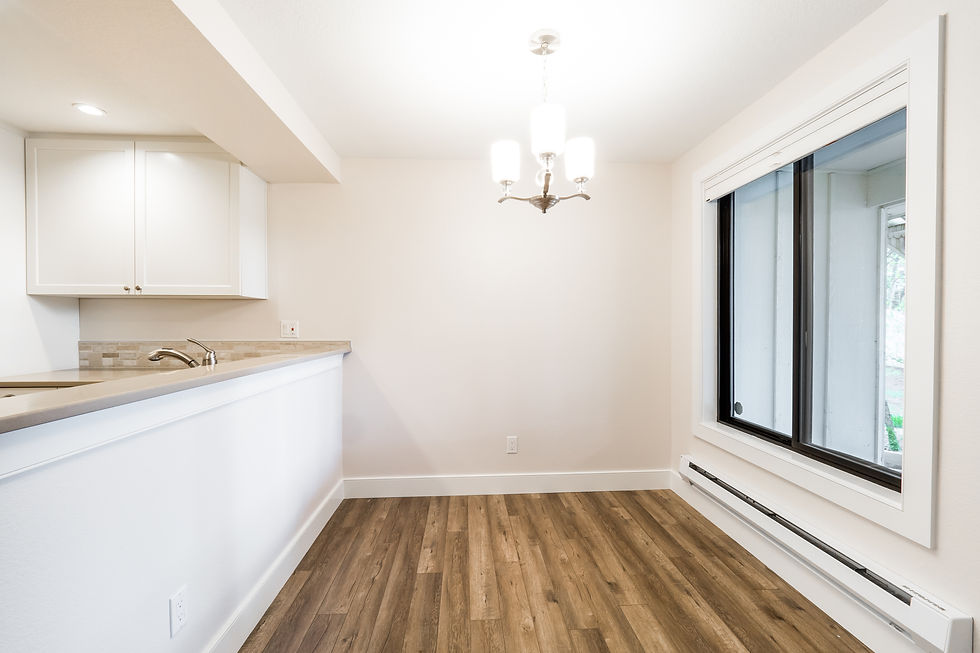 Kirkland Condo Remodel