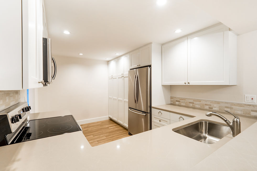 Kirkland Condo Remodel