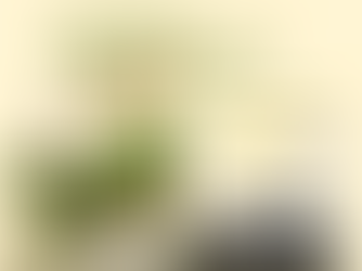 Can’t-Miss Gardening Events in April 2026 across DC, Maryland & Virginia