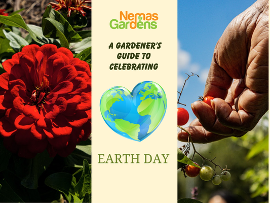 A Gardener’s Guide to Celebrating Earth Day
