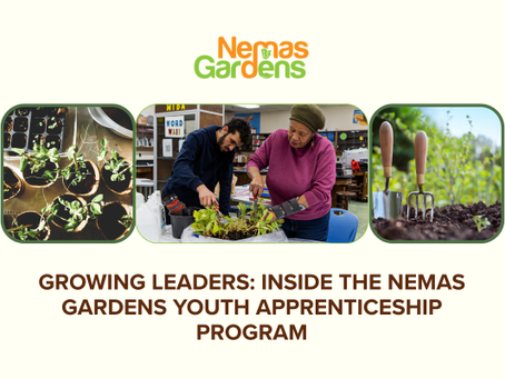 Growing Leaders: Inside the Nemas Gardens Youth Apprenticeship Program