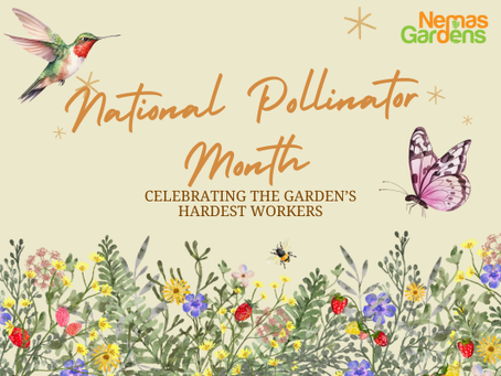 National Pollinator Month: Celebrating the Garden's Hardest Workers