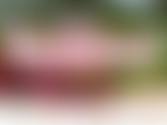 Ticks, Bees & Allergies... Oh My!!!