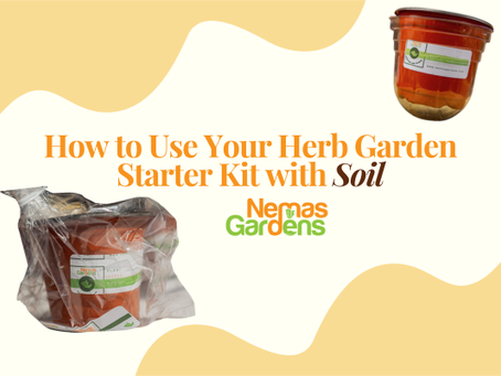 How to Use Your Herb Garden Starter Kit with Soil