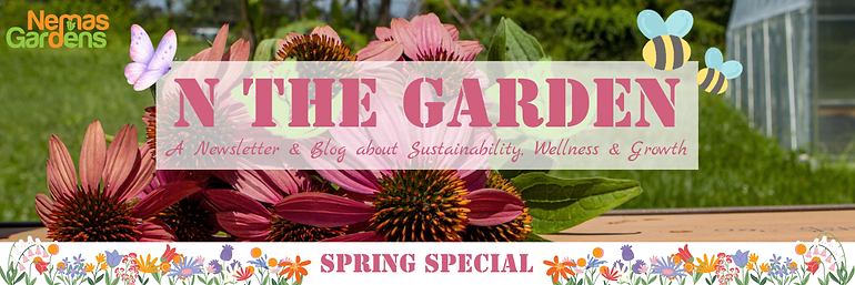 BLOG Post Banners (1).png