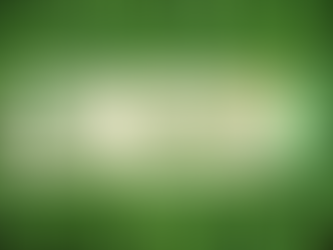 St. Patrick’s Day, Clovers, and the Hidden Power of Green