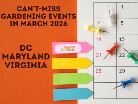 Can’t-Miss Gardening Events in March 2026 across DC, Maryland & Virginia