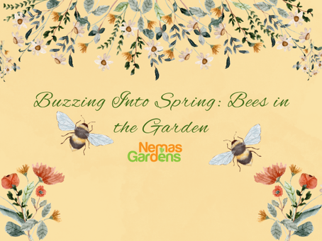 Buzzing Into Spring: Bees in the Garden