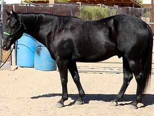 Cave Creek, AZ United States