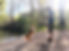 zwemmen-met-je-hond
