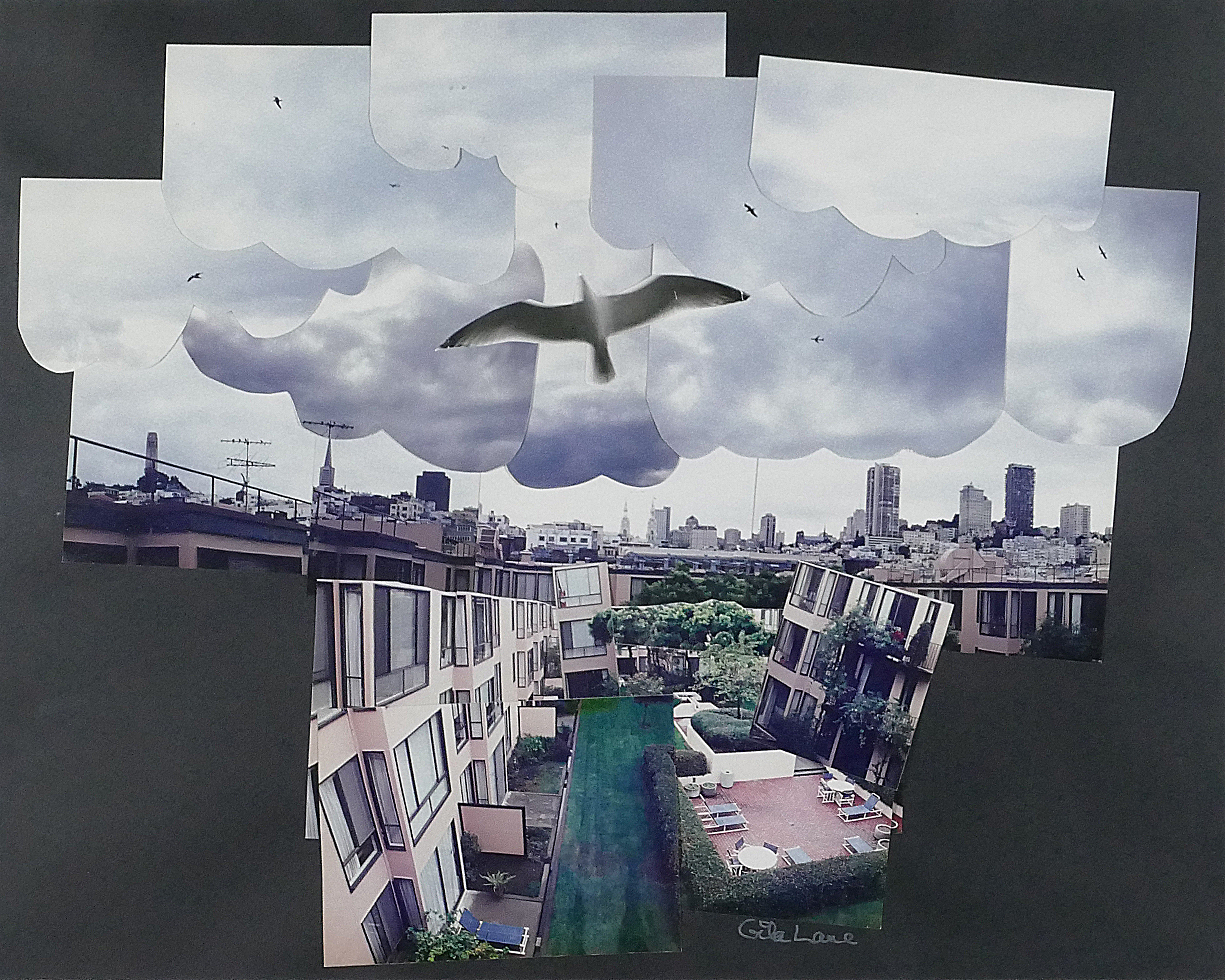 My View Of The Coit Tower