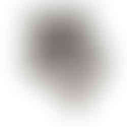 Linear weigher providing accurate and consistent product dosing for automated packaging lines.