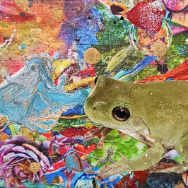 Animals & Insects