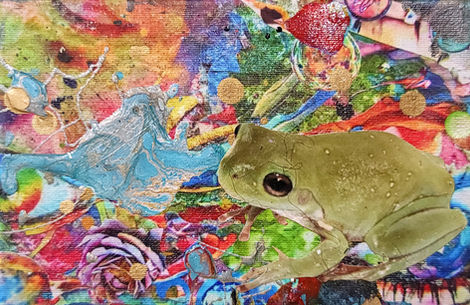 Animals & Insects