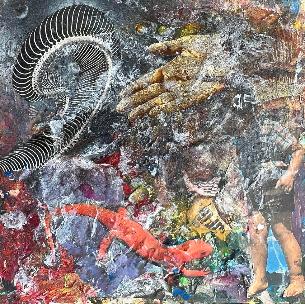 Salamander Discovery