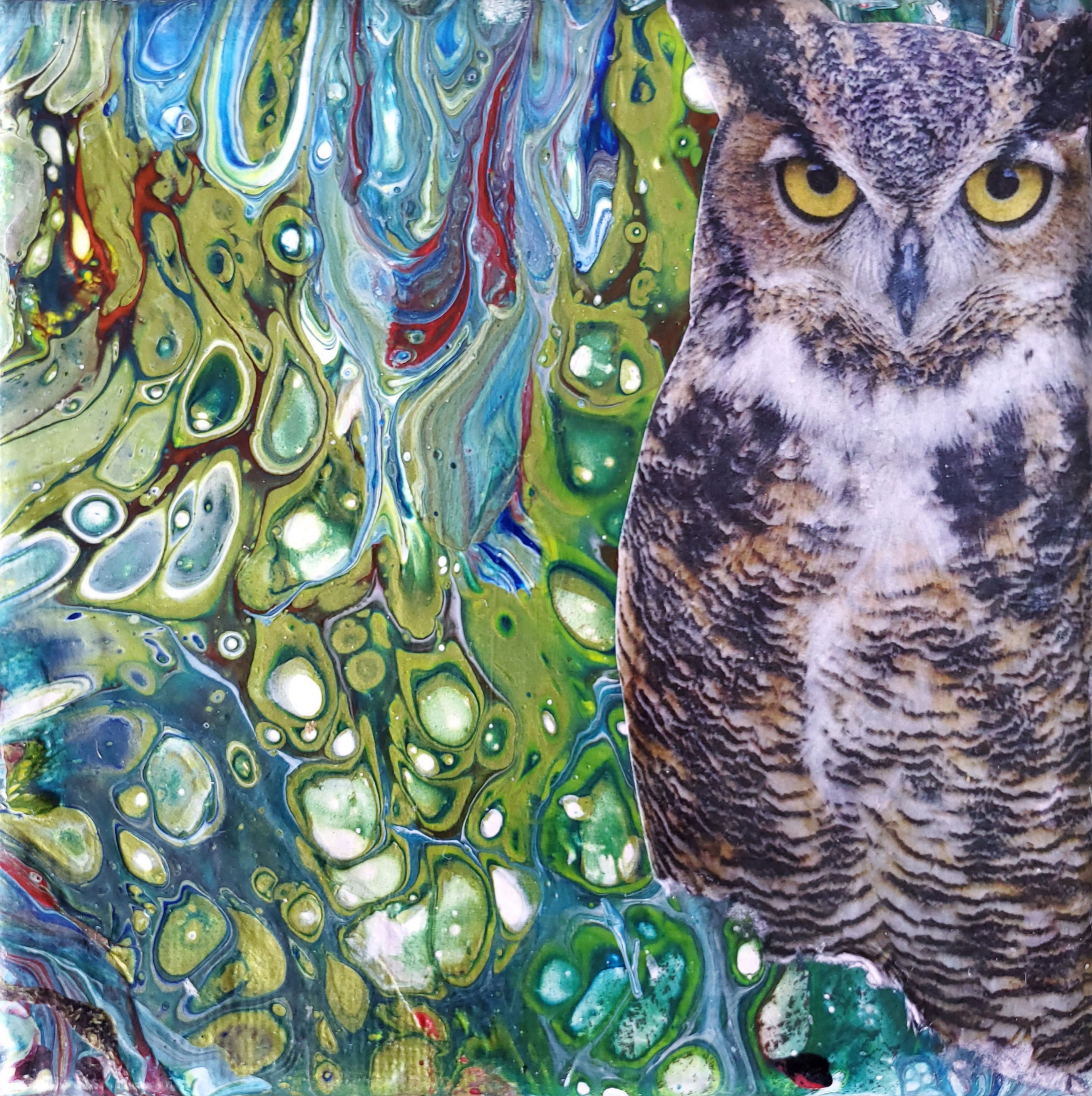 Eyes Of The Verdant Night - Fine Art Print