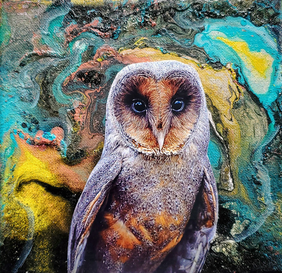 Miniaturbild: Black Owl - Fine Art Print