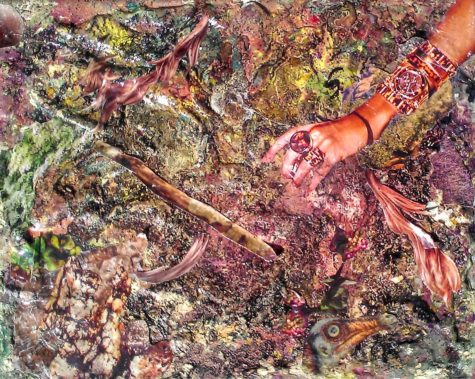 Terra Firma - Fine Art Print