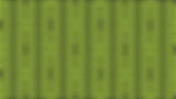 GREEN FLORAL BG.jpg