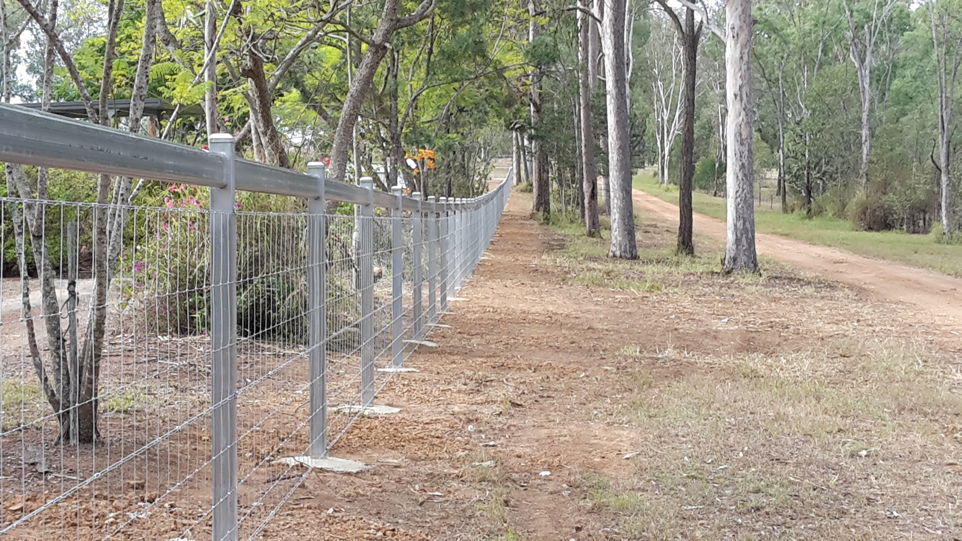 Steel fencing with mesh