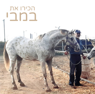במבי