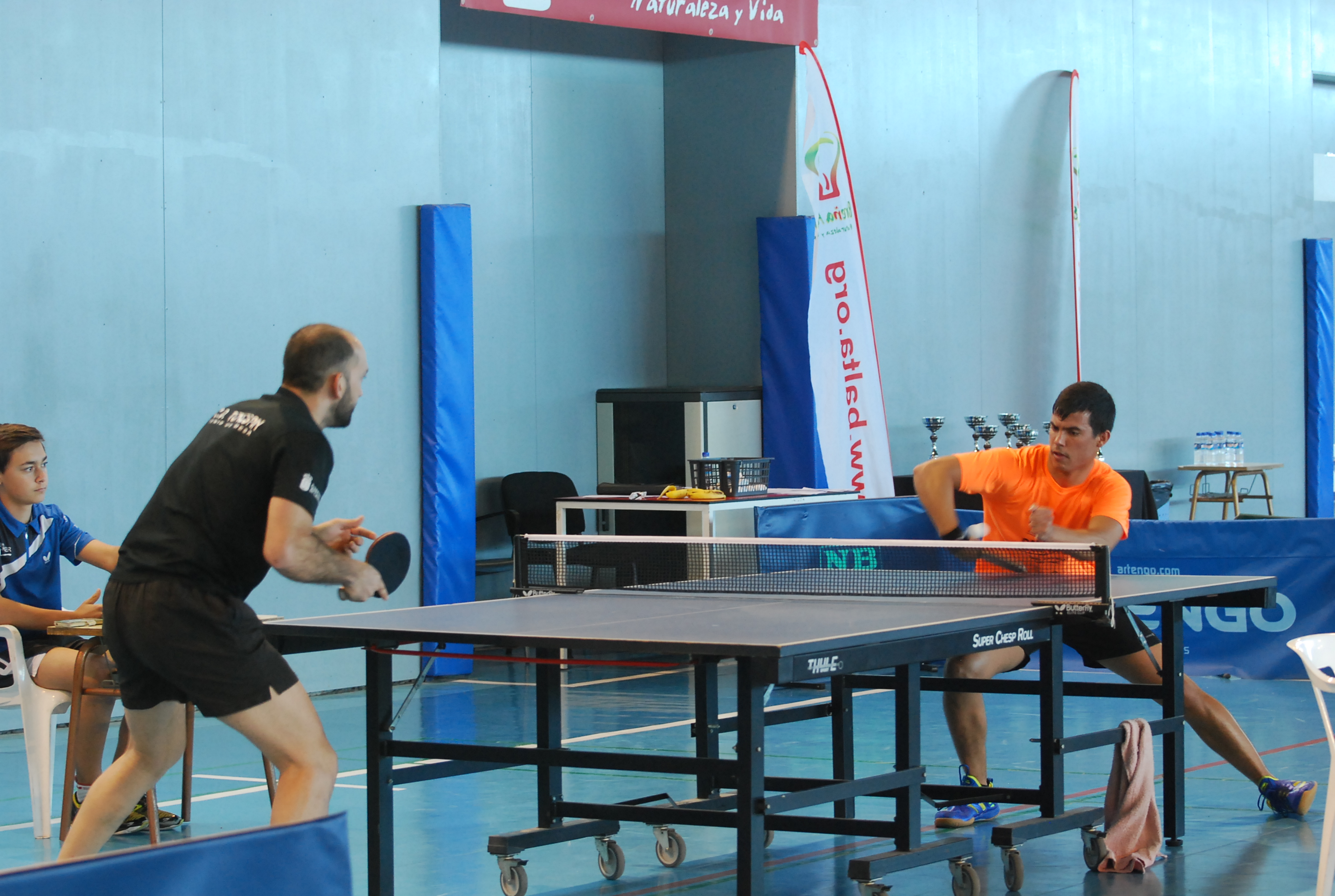 NESTOR , SANDRO
