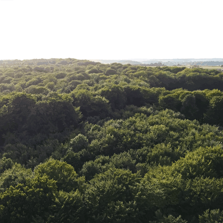Drone.gif