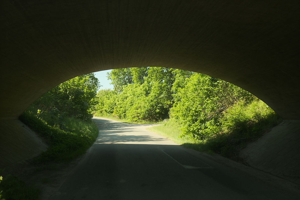 Hvad er hypnose egentlig?