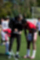 4d917211-8c3e-4d36-a1c0-e4c6bd806ee5.JPG