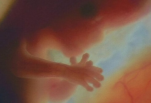 baby at first trimesters 12 week pregnancy