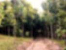 84259549-726b-4e76-ba3b-0f6d53592e53_edited.jpg