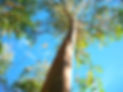 100_0141_edited.jpg