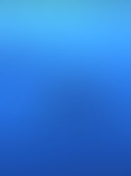 Aliwal Shoal March 2023 - Dive Review