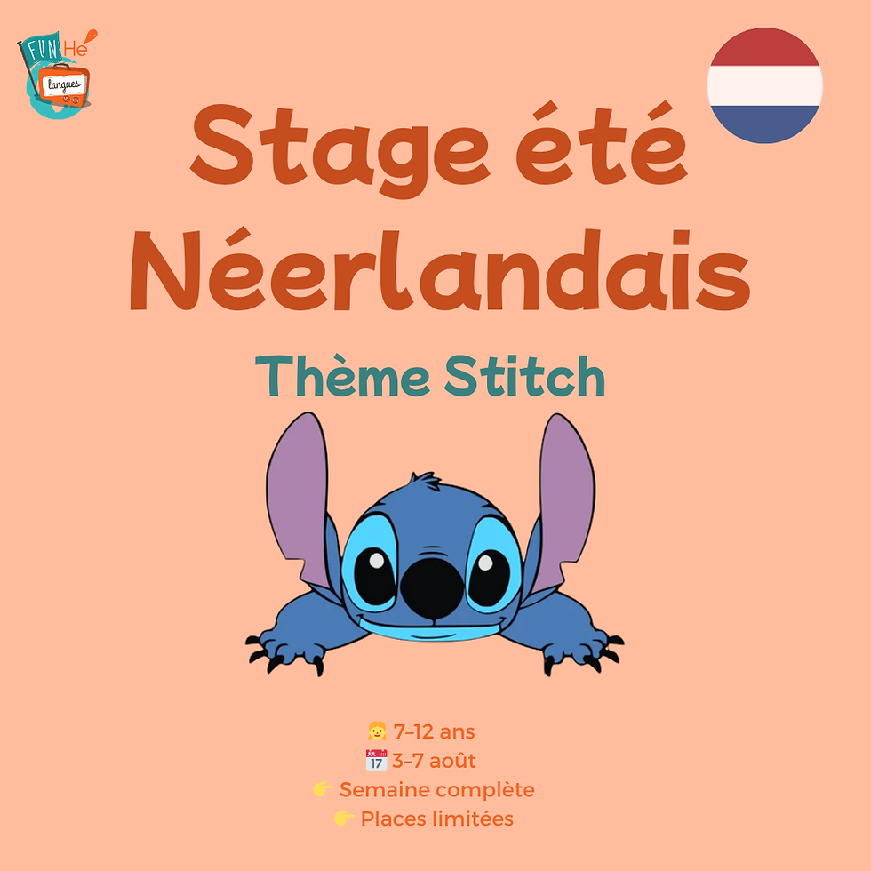 Stage été - Août | Néerlandais