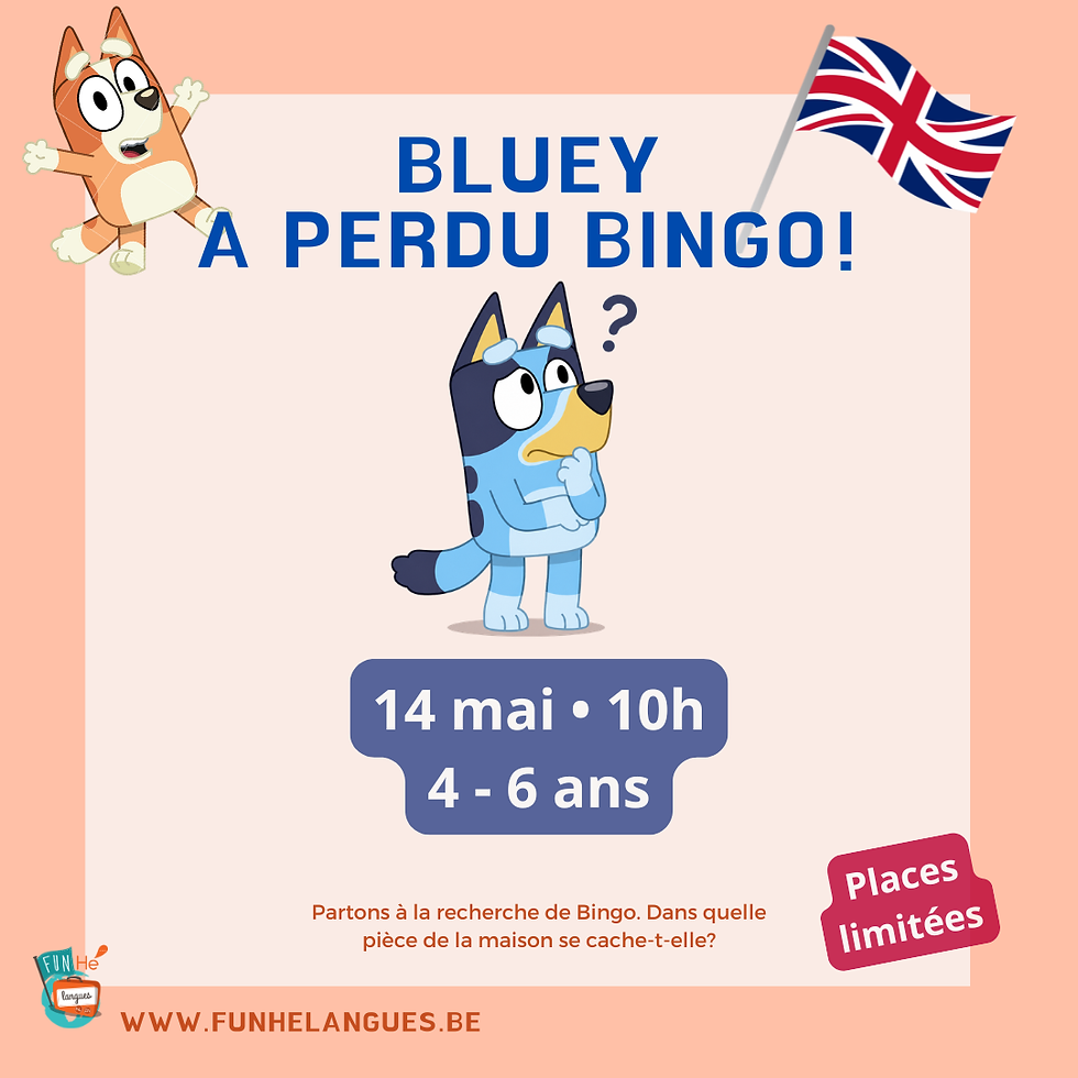 Bluey a perdu Bingo!
