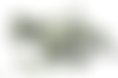 Get to know Your Accountant and Cash-in on Free Money Which is Already Yours