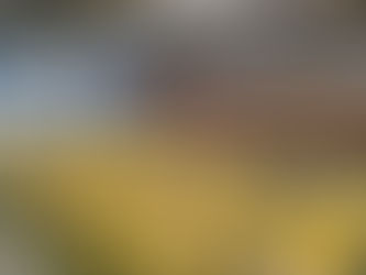 Vital B2B Marketing Strategies to Grow Your Firm