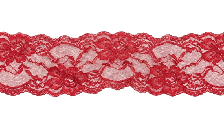 WEBSITE_LACE-removebg-preview.png