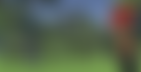 Lumber Tycoon (Unity)