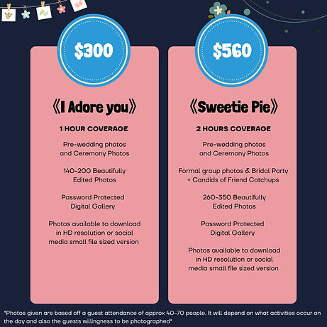 Wedding Packages 2025 May Dream Photography Photo Session Prices Table Coverage Descriptio