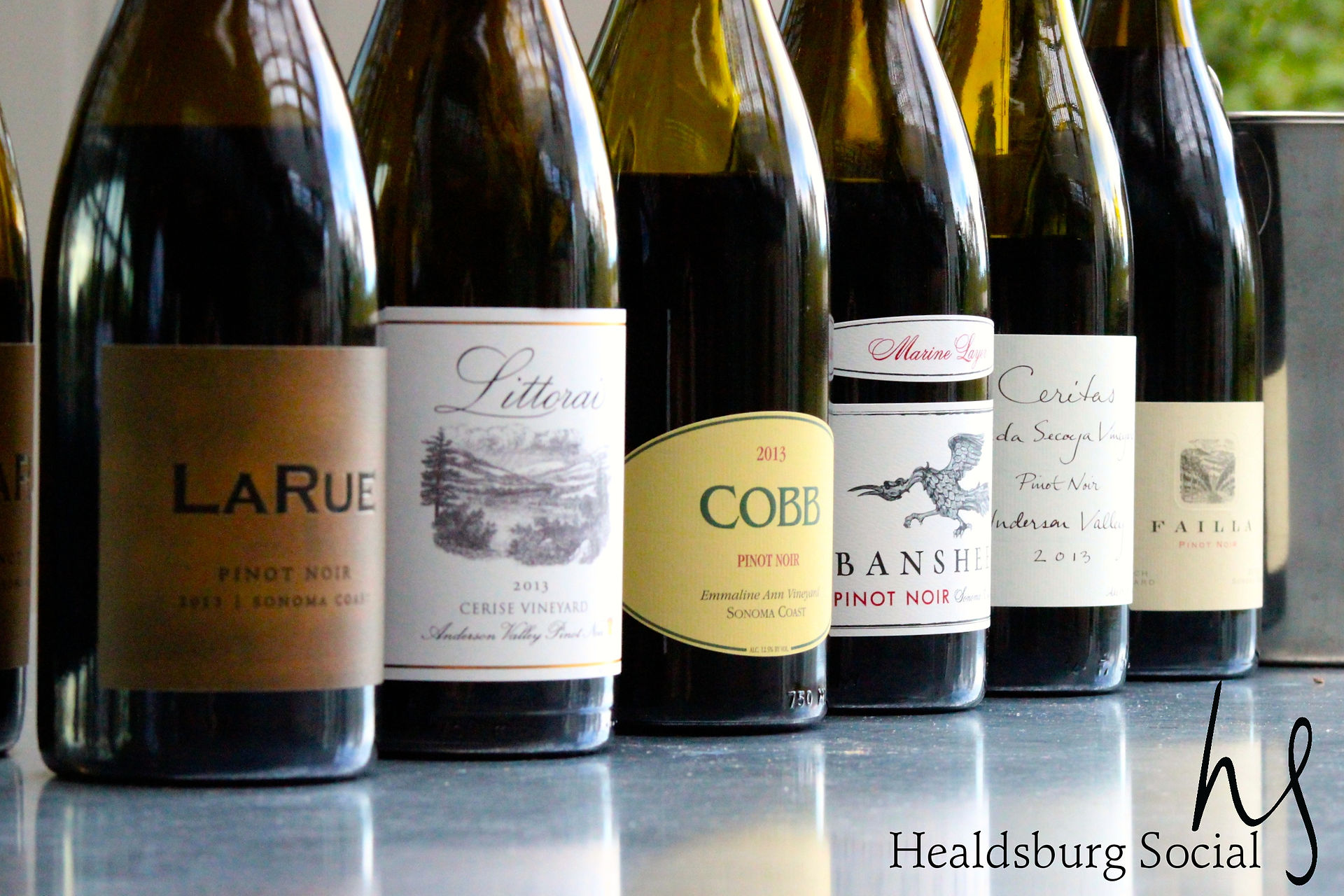 HS_BF_PINOT1