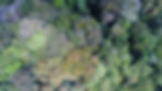Vista aerea del Parque Nacional La Tigra