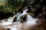 El Agua Es Vida