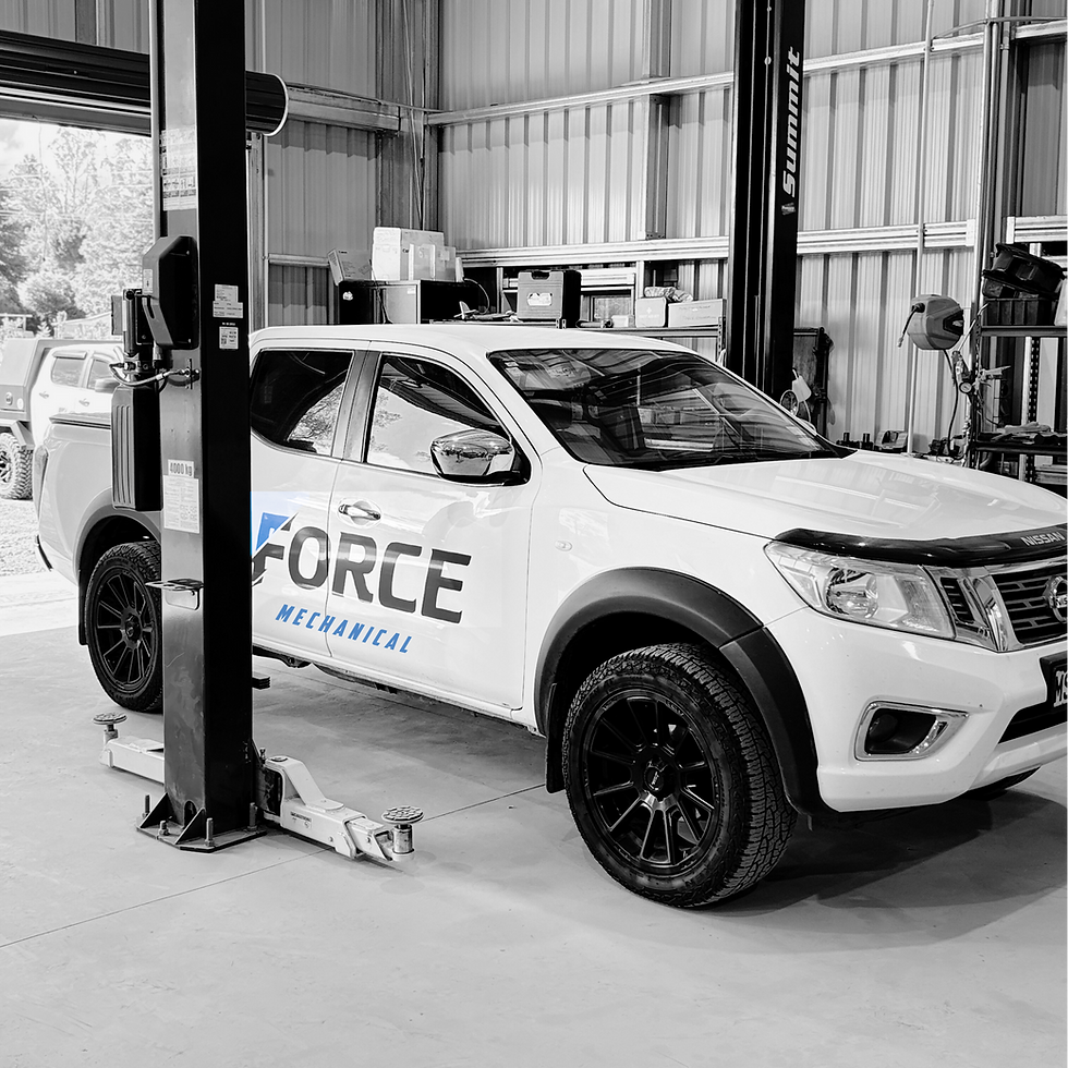 Dixie Browns Social Media Marketing.png