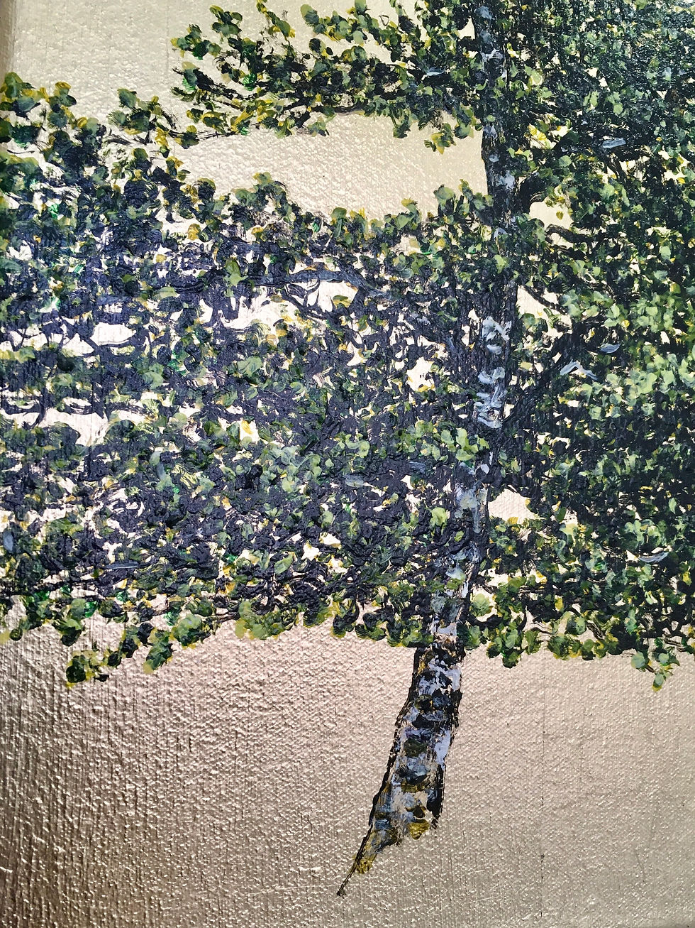 Thumbnail: 'Silver Birches' by Jack Frame
