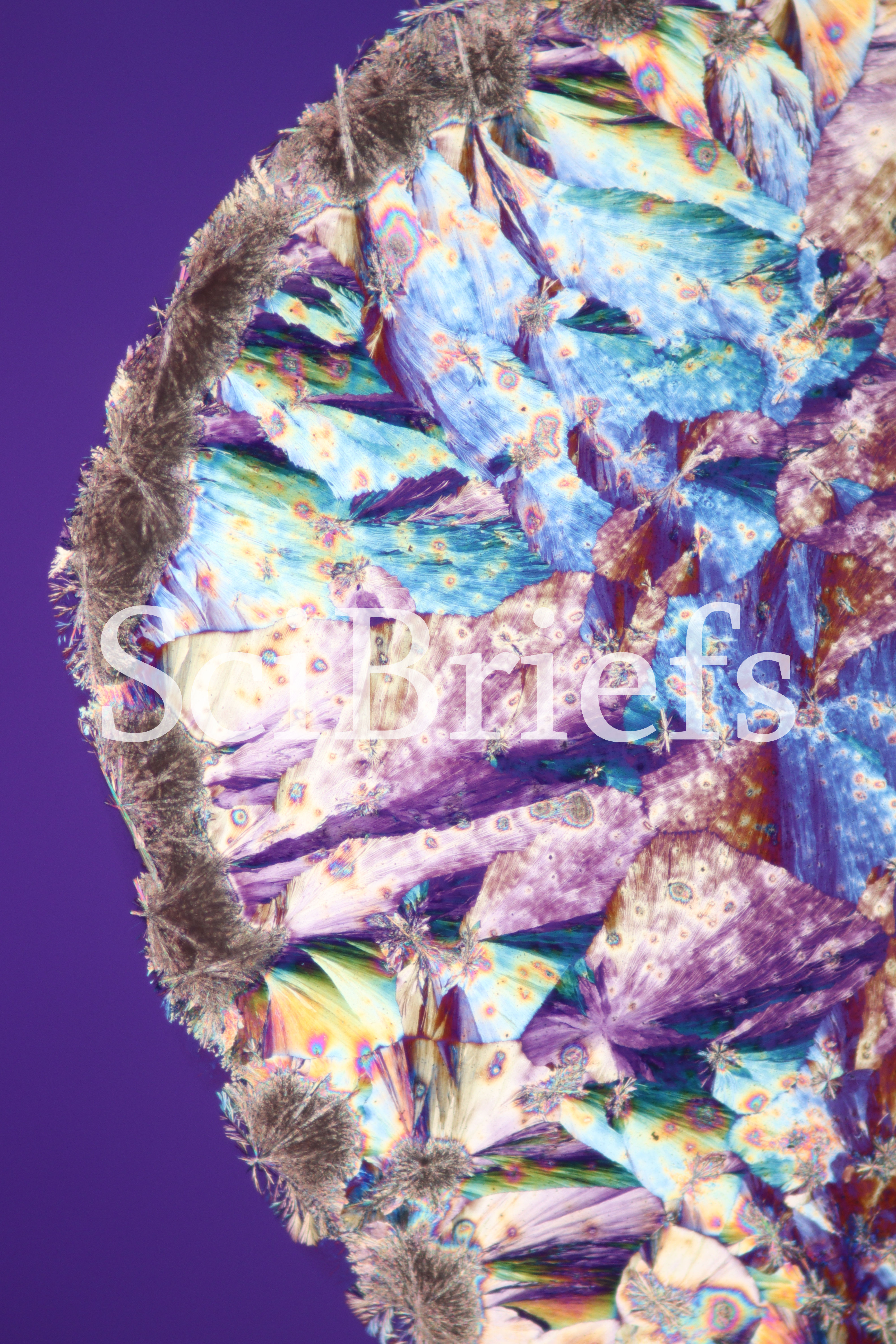 B vitamini Kristalleri