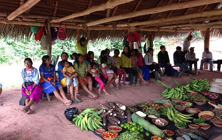 WhatsApp Image 2024-10-19 at 20.13.37.jpeg