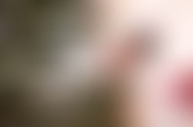 L'équipe d'Always Car, vous souhaite des belles fêtes de fin d'année !