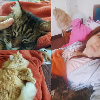 Estado de saúde da Chiara
